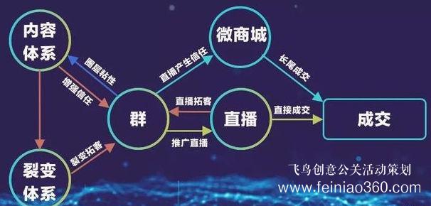 北京直播公司直播技巧 ‖ 品牌直播如何啟動，如何搭建直播運(yùn)營體系